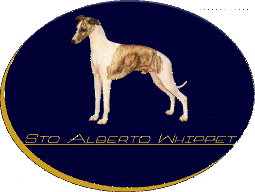 logo Sto Alberto Whippet